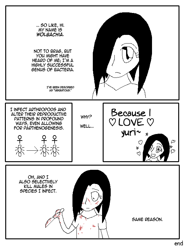 KWAIDAN